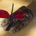 Red Dragon fly on wood